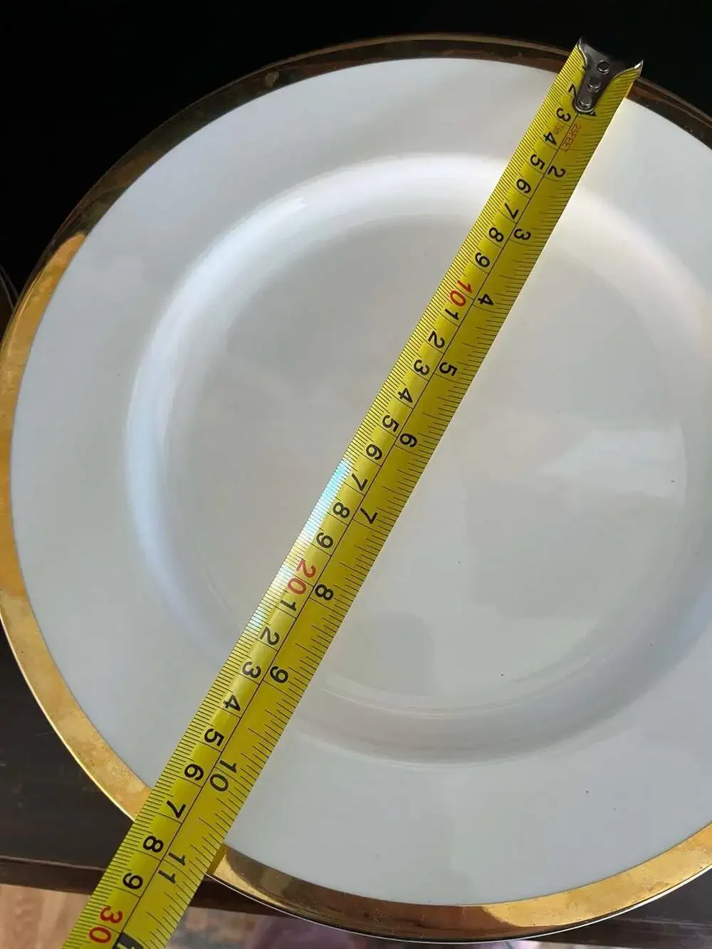Set of 10 Pier 1 Gold Band Porcelain Dinner Plates 10.5 Inch